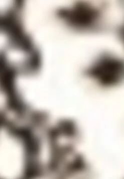 Gerry Weber1/2 ARM GEMUSTERTES KURZARMSHIRT MIT SEITENS - Blus - Schwarz Ecru Weiss Druck 15 Gerry Weber1/2 ARM GEMUSTERTES KURZARMSHIRT MIT SEITENS - Blus - Schwarz Ecru Weiss Druck -Henry Tiger Butik 1971904ac6324a6380d5e7bc3b7c317e