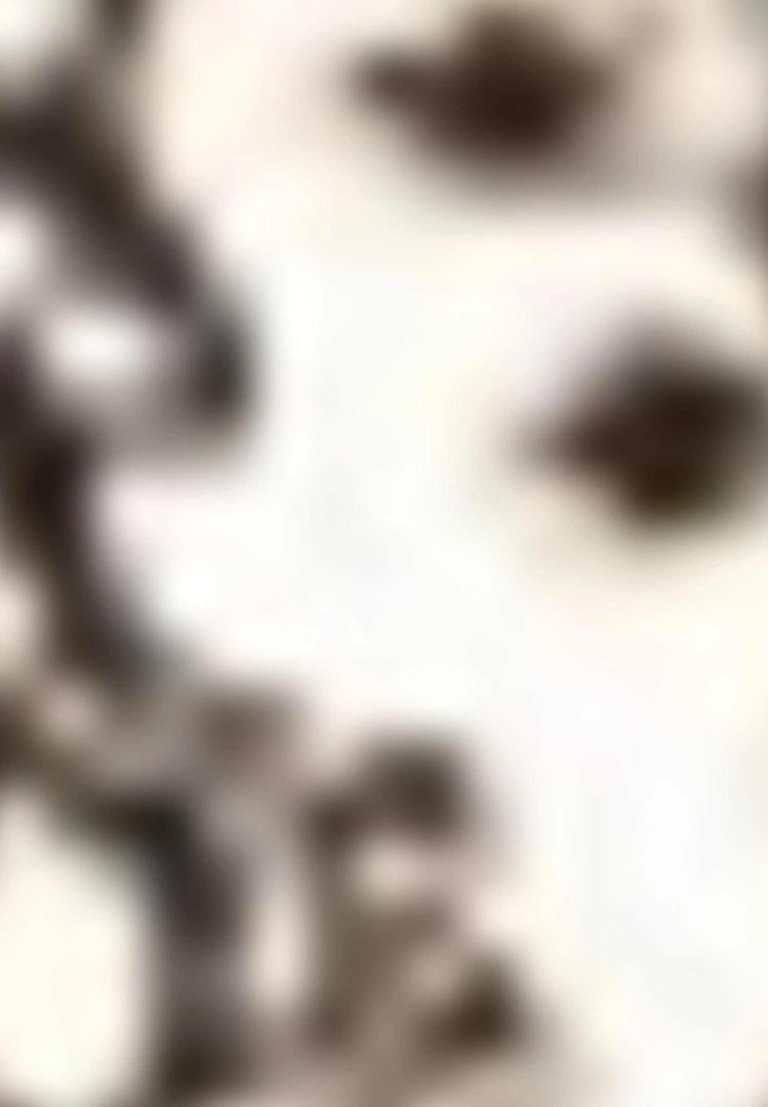 Gerry Weber1/2 ARM GEMUSTERTES KURZARMSHIRT MIT SEITENS - Blus - Schwarz Ecru Weiss Druck 9 Gerry Weber1/2 ARM GEMUSTERTES KURZARMSHIRT MIT SEITENS - Blus - Schwarz Ecru Weiss Druck - Bild 7