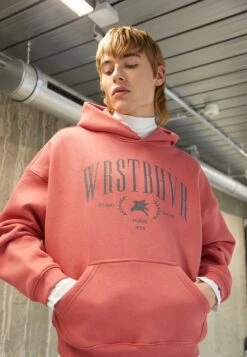 WRSTBHVRAXIS HOODIE UNISEX - Luvtröja - Mineral Red